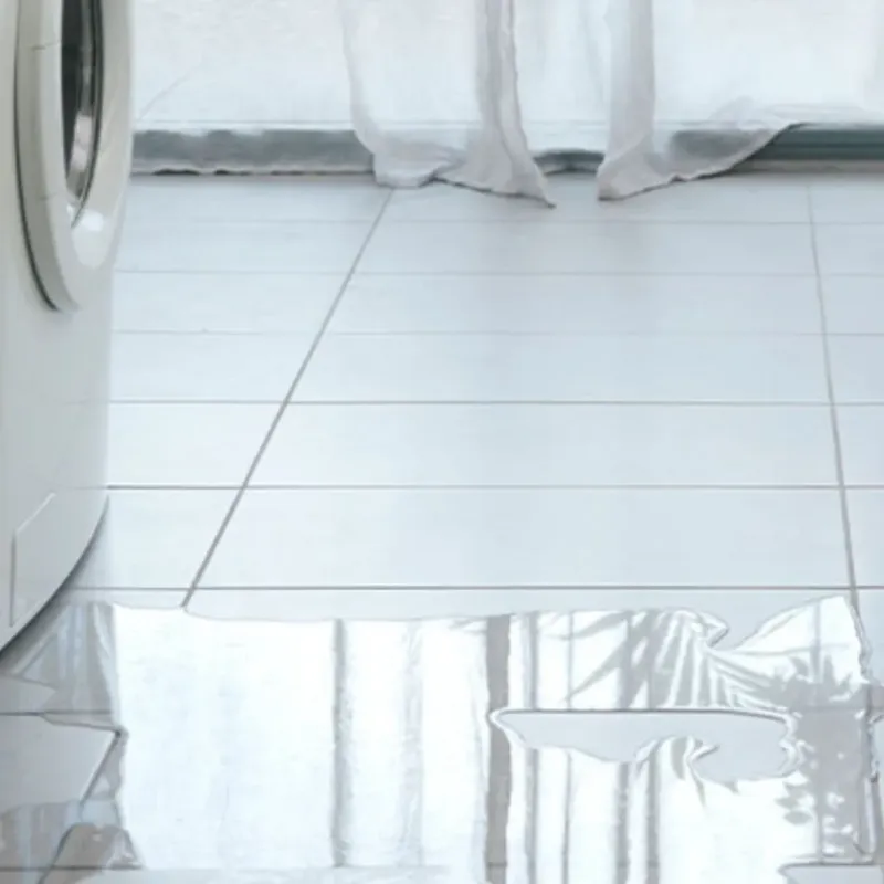 Appliance Leak Cleanup in Bedford, KY