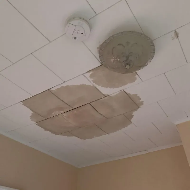 Ceiling Water Damage Repair in Bedford, KY