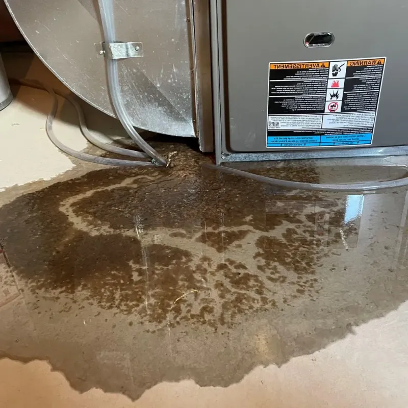 Pipe Burst and Leak Restoration in Bedford, KY