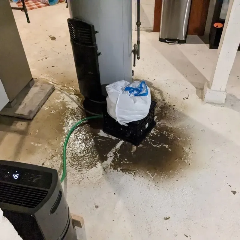 Sewage Backup Cleanup Service in Bedford, KY